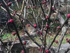 -鲁迅公园-垂钓中心