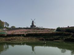 -大塘金香草谷