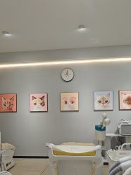 点击看大图 -洗脸猫·洗脸吧