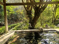 -和顺柏联温泉