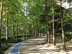 -苏州河梦清园环保主题公园