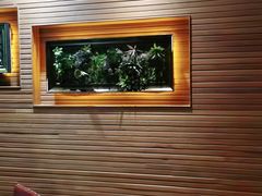 -前海沿·青岛菜(大拇指广场石老人店)