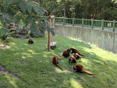 -西安秦岭野生动物园