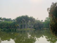 -中国科学院西双版纳热带植物园