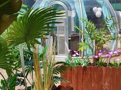 -享月汤皇·海鲜小火锅·聚会(曲江创意谷店)