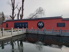 -百脉泉景区