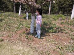 -济南国际园博园