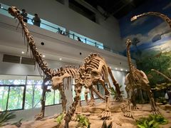 -自贡恐龙博物馆