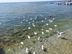 -青海湖国家重点风景名胜区