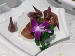 -齐家花园大酒店(宝山店)
