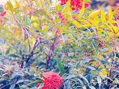 景观位-Wagas沃歌斯(大学路店)