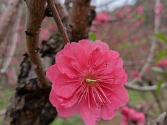 -白水带风景区体育公园