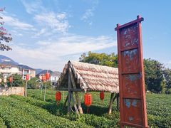 -龙坞茶村