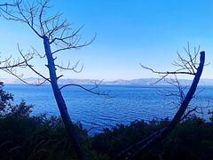 -抚仙湖禄充风景区