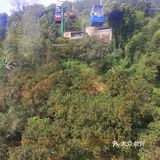 不需要花费很多，坐缆车要做很久