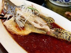-成飞公园