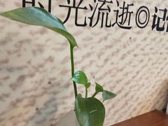 -黄氏沥泉·冰粉(玉林店)