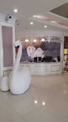 -贯日漂亮宝贝儿童摄影