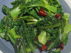 清炒豌豆尖-龙人居·水煮鱼(五道口店)