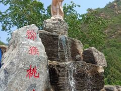 -大岭沟猕猴桃谷风景区