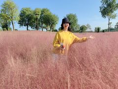 -汉长安城未央宫国家考古遗址公园