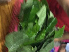 -霞姐屯昌枫木香草鸭店(海螺店)