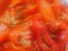 -山海经·海边人家 海鲜新青岛菜(扬州路店)