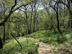 -南京老山国家森林公园