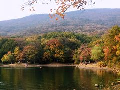 -紫霞湖公园