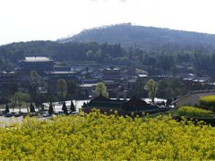 -莆田南少林寺