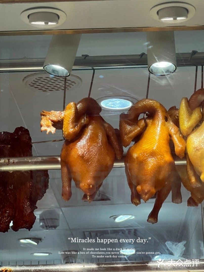 春日野餐新体验~金戈戈让踏青更有仪式感!