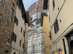 -圣母百花大教堂穹顶