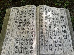 -茅兰沟国家森林公园