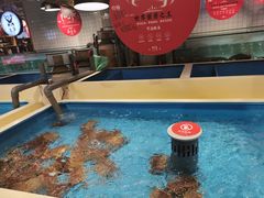 -日进一片海.生腌海鲜火锅.宵夜烧烤(三里屯总店)