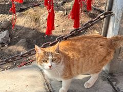 -终南山南五台景区