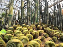 -南山植物园