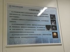 -首都医科大学附属北京天坛医院
