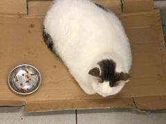 -新记餐厅(香槟大厦店)