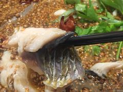 -大河宴·椒麻鱼火锅(北京路中和美食街店)