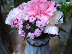 -花草间花行(法华镇路店)