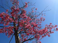 -白石龙音乐公园