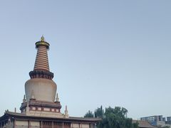 -张掖大佛寺景区