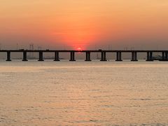 -宝安西湾红树林湿地公园