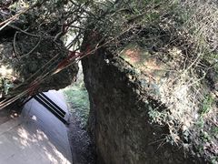 -窦圌山风景区