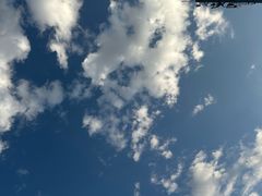 -特克斯八卦城
