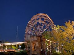 -王借岗森林公园