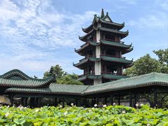 -桂湖森林公园