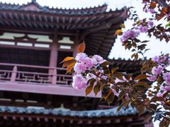 -西安青龙寺遗址景区