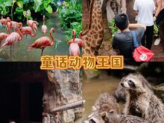 -长鹿旅游休博园