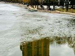 -团结湖公园